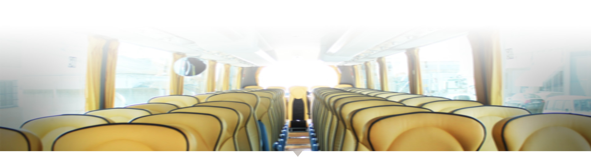 豪华车型 尊贵体验 专业司机 安全放心